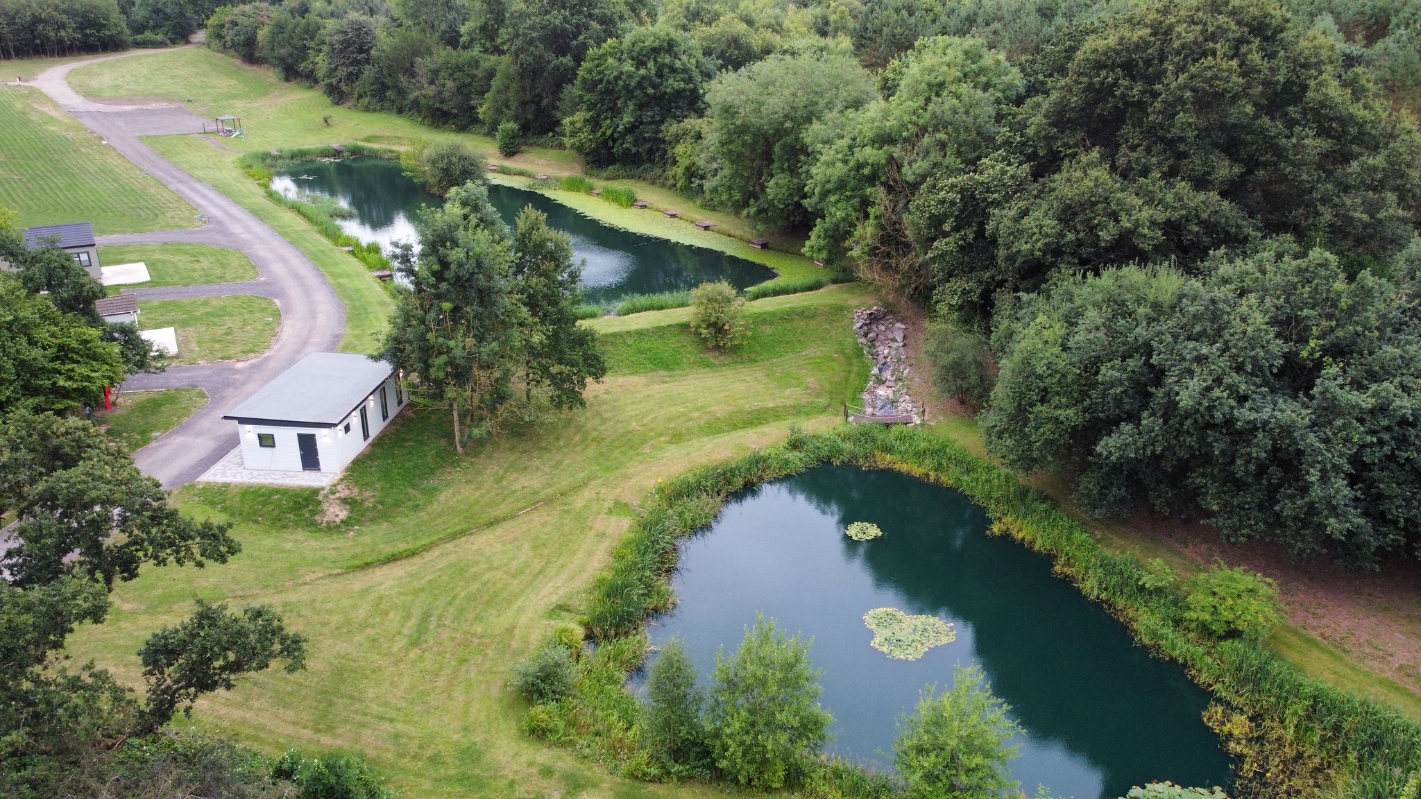 Fishing lake and woodland at Swanlake Lodges